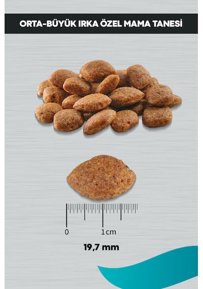 Peritas Signature Kuzulu Orta ve Büyük Irk Yetişkin Köpek Maması 12 KG