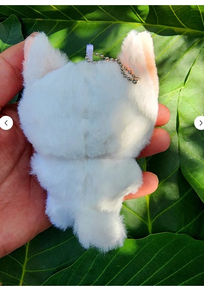 Pepikon Enhypen Skzoo Kpop Peluş Oyuncak Anahtarlık 10 Cm Süpriz Hediyelidir Beyaz