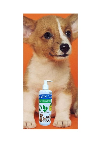 Alwag Keratın Care Pet Kedi &köpek Shampoo Vegan Silikonsuz, Parabensiz Şampuan 400 Ml