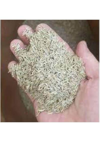 Çim Tohumu Ithal 3lü Karışım Özel Çim Tohumu 1kg