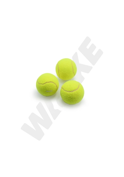 Walke Başlangıç Seviye Antrenman İçin 3 Adet Tenis Topu