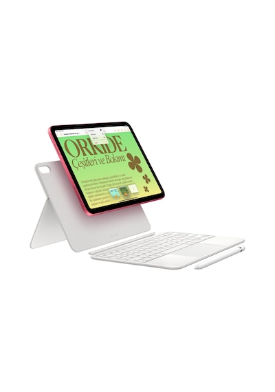 Apple iPad 10. Nesil Wi-Fi + Cellular MQ6T3TU/A 256 GB 10.9" Tablet Gümüş