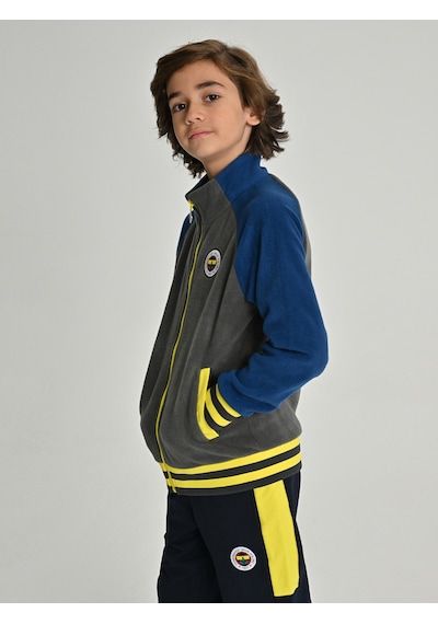 Fenerium Çocuk Trıbun Reglan Kol Detaylı Sweat Grı
