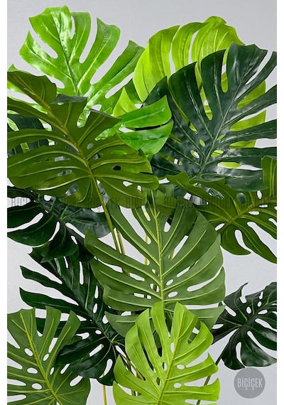 Biçiçek Yapay Monstera Ağacı Deve Tabani 160 Cm Si̇yah Luna Saksıda