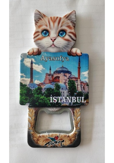 İstanbul'un Simgeleri Magnet Üçlü Seti