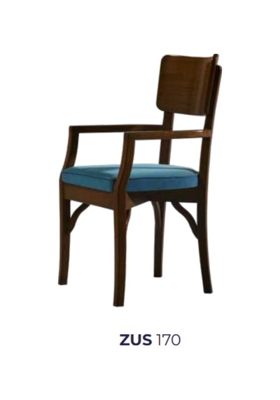 Bengimobilya Sandalye Zus170 Ahşap Sırtlık Model Kayın Retro Iskelet Ceviz Ren