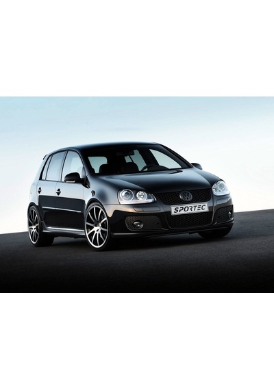 Coil-Ex Volkswagen Golf V 11.2003 - 2008 Arası Spor Yay 45 - 45 M