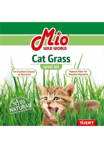 Mio Cat Grass Kedi Çimi