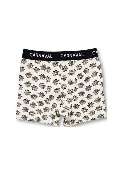 Carnaval Socks Carnaval Tembel Hayvan Desenli Premium Pamuklu Erkek Boxer -krem Renkli Çoklu