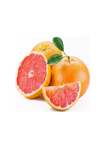 3 Yaş Aşılı Kırmızı Greyfurt Fidanı. Torbada