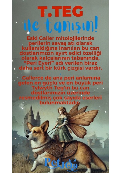 Petjoo 15.T.Teg Mavi-Kırmızı Qr'lı Köpek Künyesi
