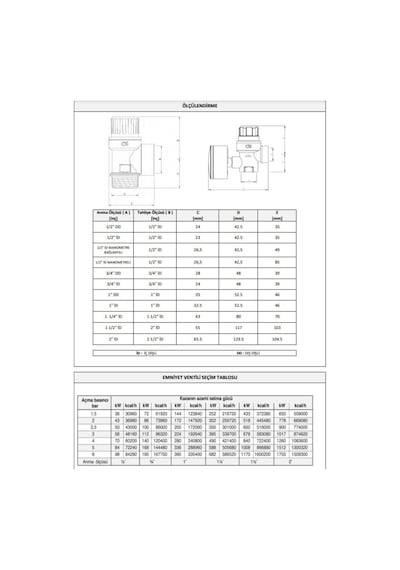 Case 1/2'' 9 Bar Emniyet Ventili
