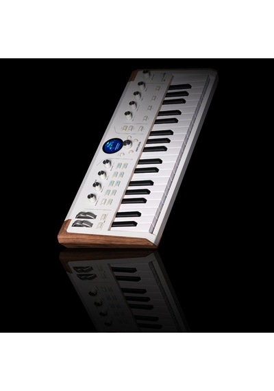 Arturia Astrolab - 37 Avantgard Sahne Synthesizer