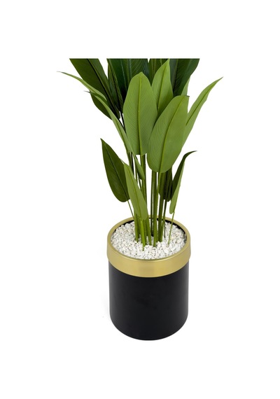 Starliçe 220cm Metal Siyah Gold Saksıda H