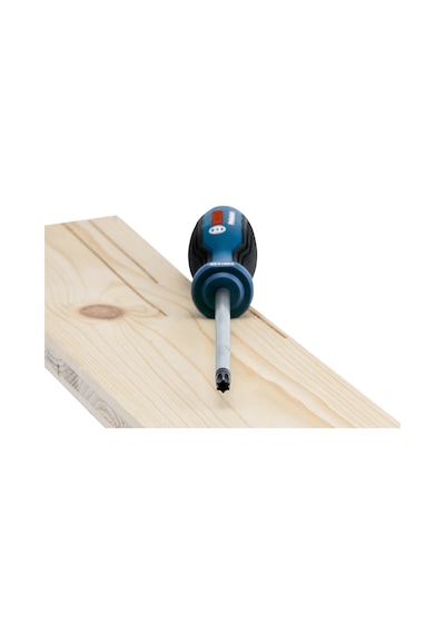 Bosch Profesyonel Torx Tornavida T40 x 125 mm - 1600A01V0F