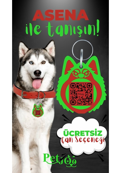 Petjoo 25.Asena Yeşil-Kırmızı Qr'lı Köpek Künyesi
