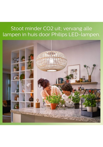 Led Classic 60w A60 Filament Ampul, 2700 Sarı Işık, E27 Normal Duy, Dim Edilmez 2'li Ekopaket Diğer