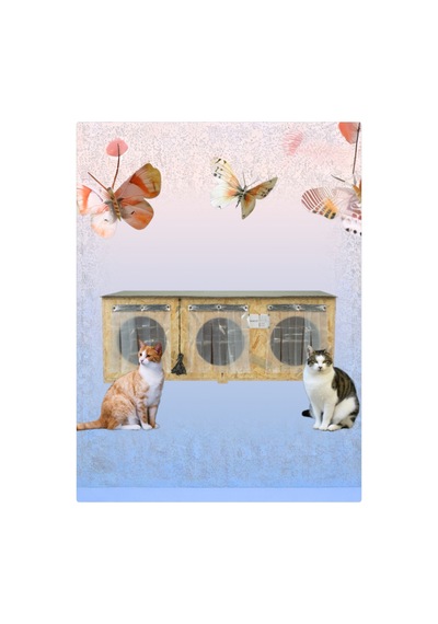 Kedi Evi Kedi Yuvası 3 Bölmeli 3 Kedilik Su Ve Isı Yalıtımlı