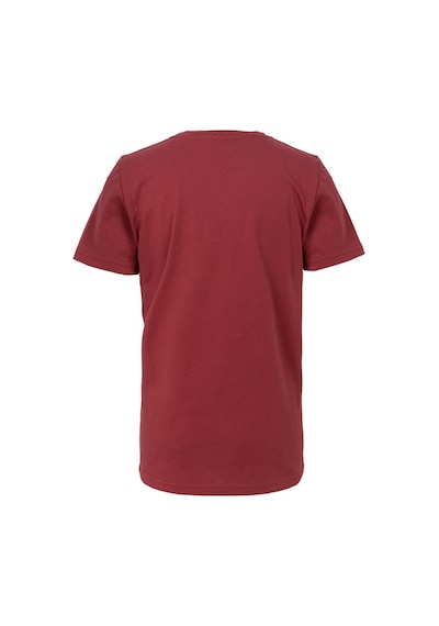 Brz Kıds Brz Kids Erkek Çocuk Baskılı Kısa Kollu T-shirt-bordo Bordo