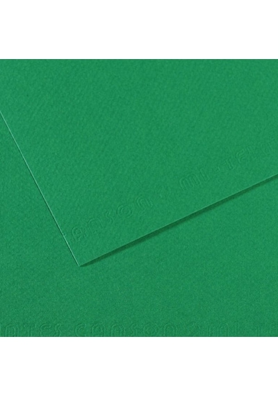 Canson Fon Kartonu Dokulu Mı-teıntes Sh Canmt 50x65 160 Gr Grn 575 31032s114