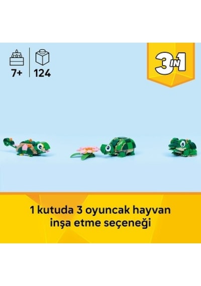7 Yaş Ve Üzeri İçin 3'ü 1 Arada Kaplumbağa Ve Nilüfer Çiçeği Seti