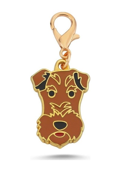Fox Terrier Altın Kaplama Mineli Tasma Aksesuarı Renkli