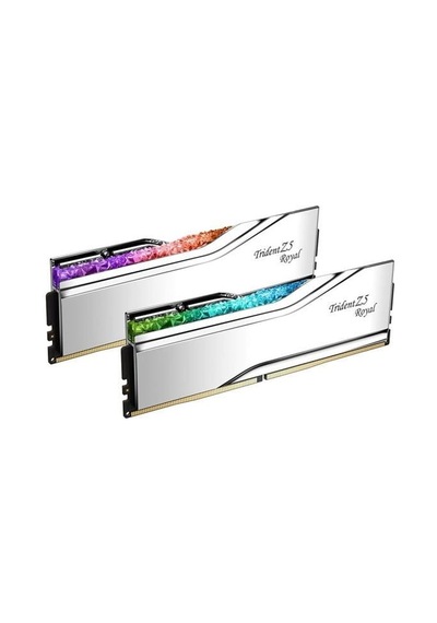 Gskıll 48gb 2x 24gb Ddr5 8000mhz Cl40 Rgb Dual Kıt Pc Ram Trıdent Z5 Royal Sılver F5-8000j4048f24gx2-tr5s