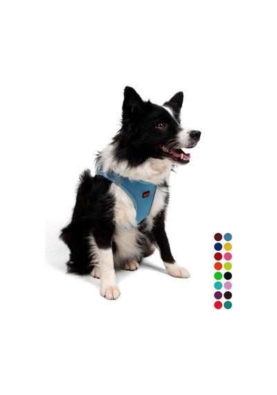 Tailpetz Air-mesh Küçük Ve Orta Irk Kedi Köpek Göğüs Tasması - Yumuşak, Nefes Alabilir, Dayanıklı Mavi, Xlarge Sku: Zeusb097lsl134 Açık Bej - Bej Tailpetz Air-mesh Küçük Ve Orta Irk Kedi Köpek Göğüs Tasması - Yumuşak, Nefes Alabilir, Dayanıklı Mavi, Xlarge Sku: Zeusb097lsl134 Açık Bej - Bej