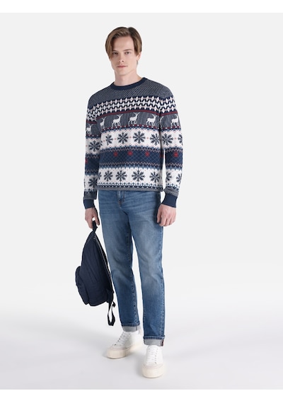 Colin's Colins Regular Fit Bisiklet Yaka Çok Renkli Erkek Kazak Cl1065736 Çok Renkli