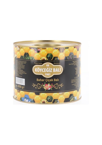 Köyceğiz Balı Bahar Çiçek Balı Teneke 2850 G