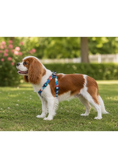 Ally Paws Geometrik Köpek Göğüs Tasması Göğüs: 30 Cm X 60 Cm Çok Renkli