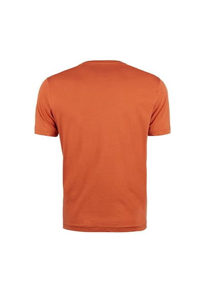 Outdoor T-shirt Günlük Pamuklu Basic Erkek Tıcol01 Kiremit