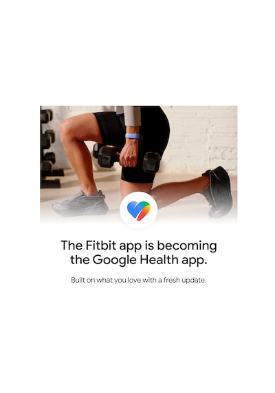 Google Fitbit Air - Fitness, Kalp Atış Hızı Ve Uyku Takibi İle Ekransız Aktivite İzleyici Akıllı Bileklik