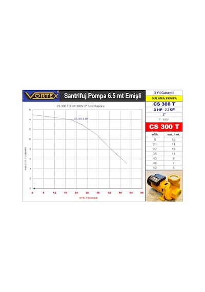 Vortex Cs 300 T 3 Hp 380V Sanayi 3"
