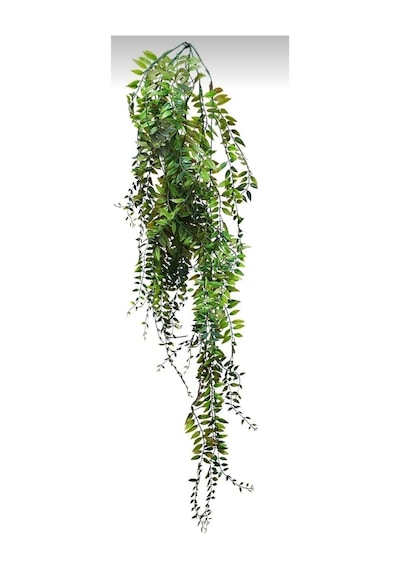 Rüzgar Çiçekcilik 90 Cm Sarkıt Sarmaşık Yeşil