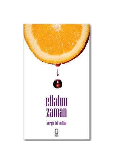 Eflatun Zaman - Sergio Del Molino - Kahve Yayınları