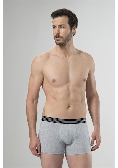 Cacharel 1318 Ikili Boxer - Gri Melanj - M