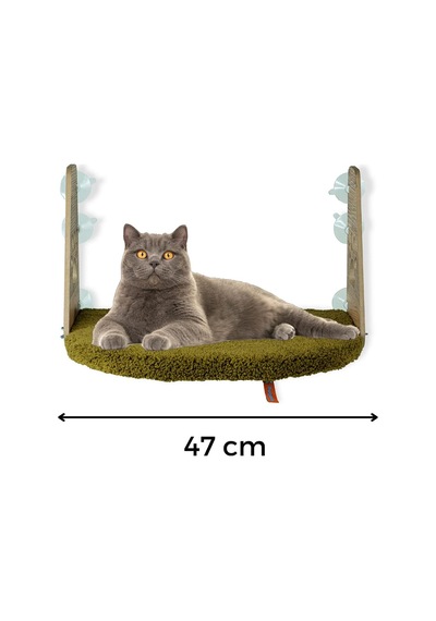 Cam Yatağı Vantuzlu Kedi Cam Yatağı Pugalo Vantuzlu Yatak Yeşil