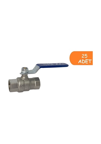 25 Adet Eca 1/2 İçme Suyu Küresel Valfi İç Vida X İç Vida Pn10 602122168