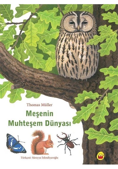 Muhteşem Meşe'nin Dünyası / Thomas Müller