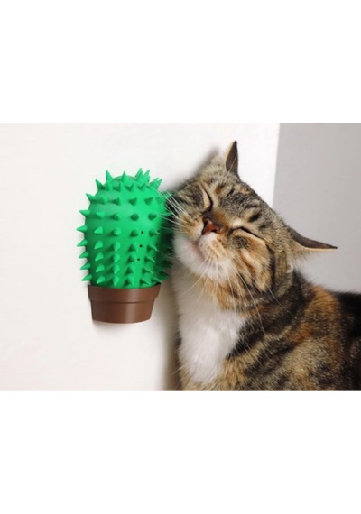 Kaktüs Kedi Kendi Kendini Tırmalama Aleti