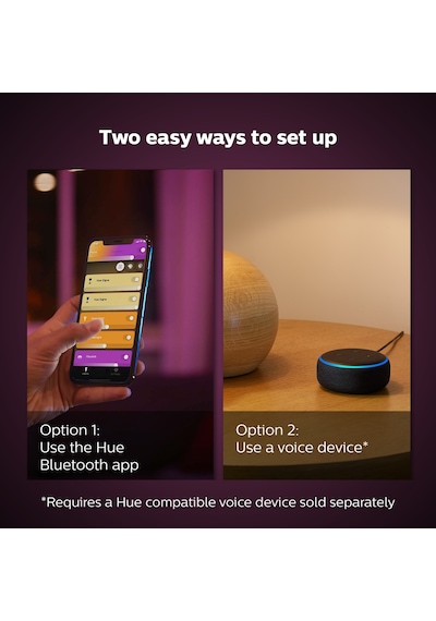 Philips Hue Iris - Silver (Special Edition)