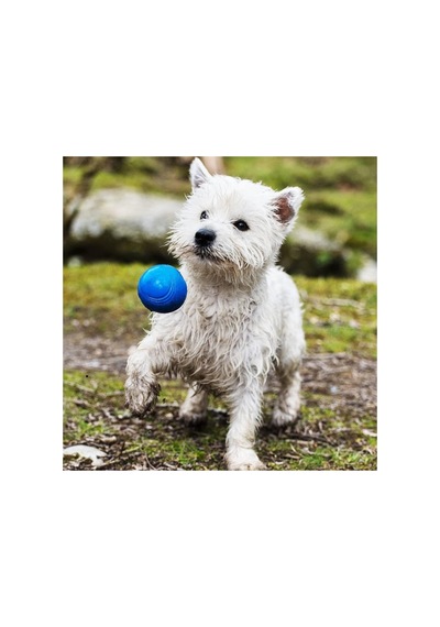 Köpek Çekiştirme Topu 2'li Super Crunch Orta Boy
