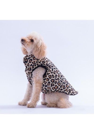Mbeya Gold Leopar Desen Yelek Köpek Yeleği Köpek Kıyafeti Köpek Yağmurluk