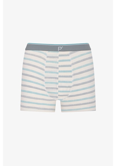 Penti Erkek Renkli Soft Grid Çoklu Boxer