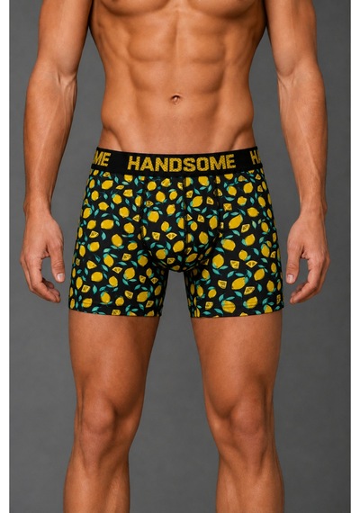 Brem Handsome Limon Desenli Erkek Boxer Çok Renkli