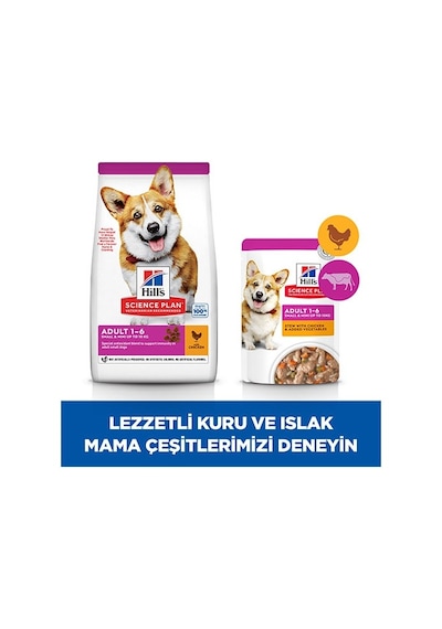 Hill's Science Plan Small & Mini Chicken Küçük Irk Tavuklu Yetişkin Köpek Maması 1500 G