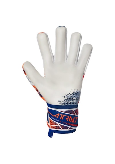 Reusch Attrakt Freegel Gold Nc Kaleci Eldiveni 5570135-2500 Çok Renkli