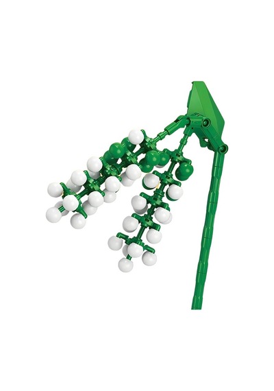 Ctoys Plant Series Florist Block Phytolacca Acinosa 8856 5