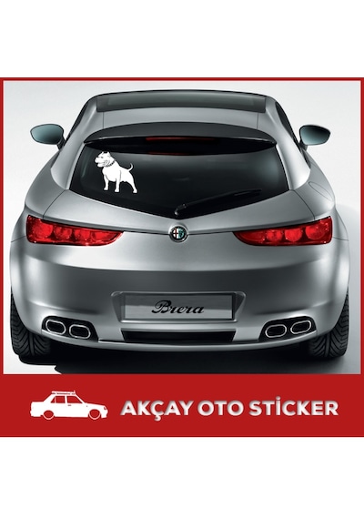 Pitbull Sticker Pitbull Köpek Sticker Araç Sticker Oto Sticker